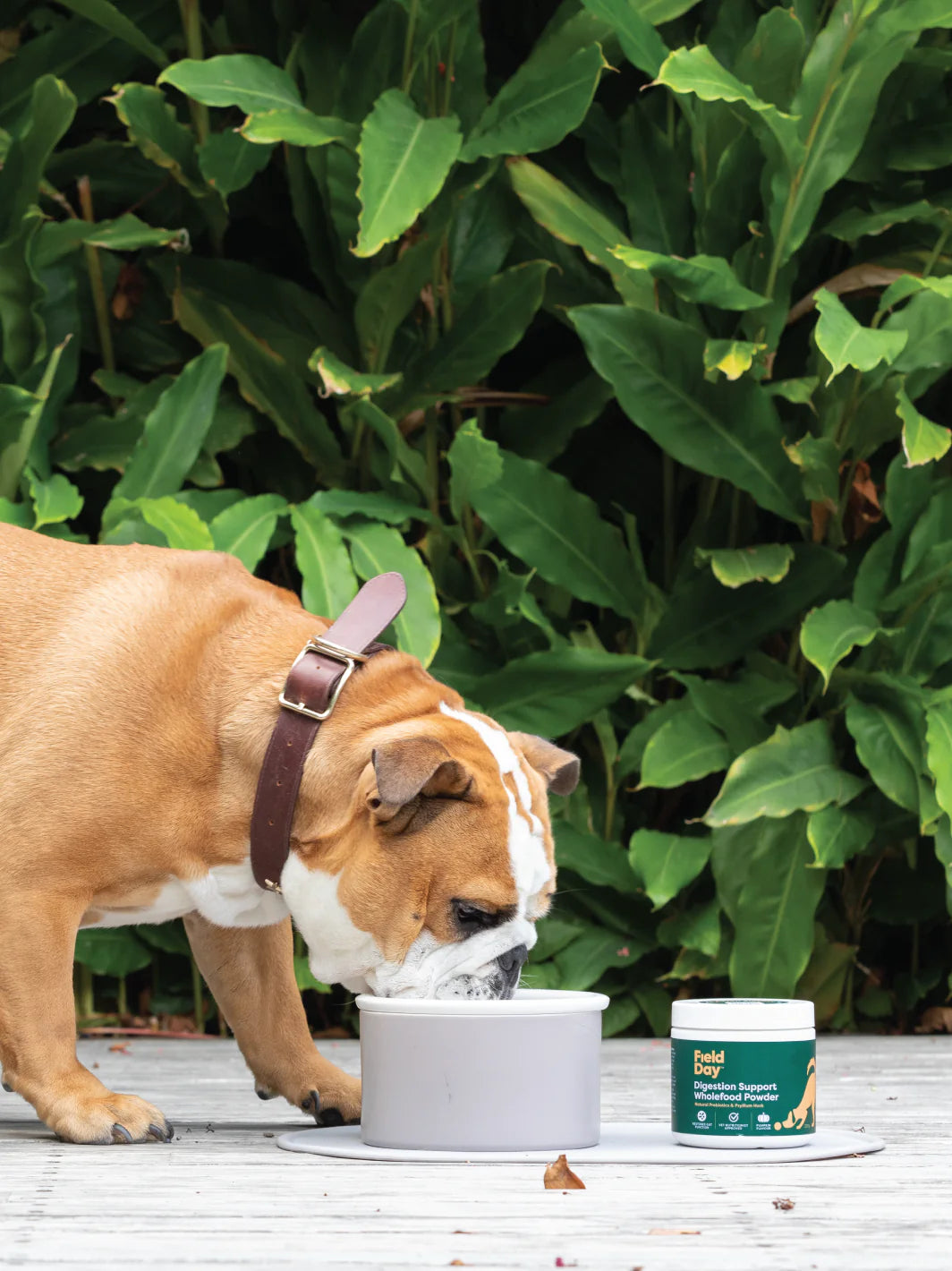 Digestion Support Wholefood Powder - 220g