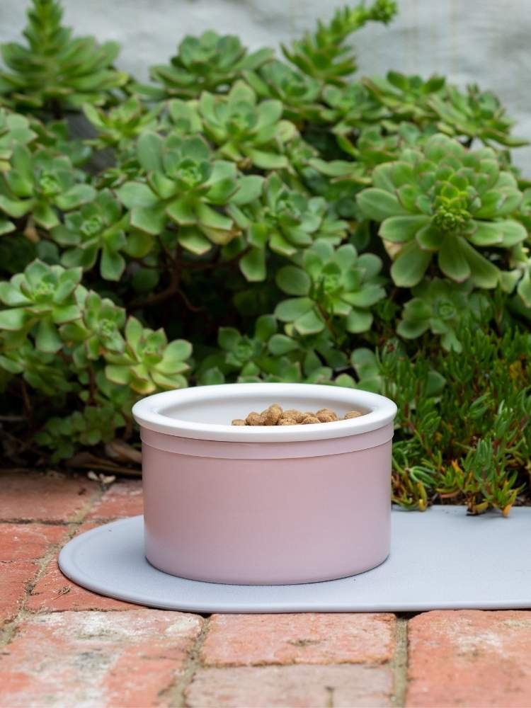 Dog Bowl Set with Mat - Pink & White
