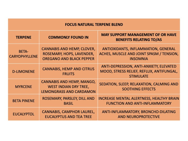 Terpene Tincture Focus - 30ml