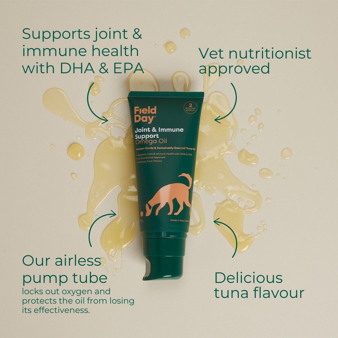 Joint &amp; Aging Support Bundle